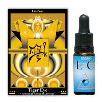 Tiger Eye STOCK image