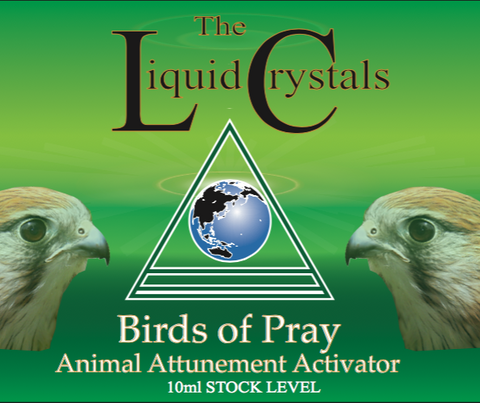 Birds of Pray Act Advanced STOCK image