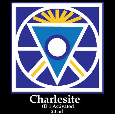 Charlesite 20ml (SCD1A) Faith in Action image