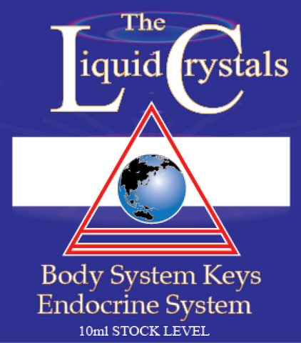 Endocrine SYS KEY Advanced STOCK image