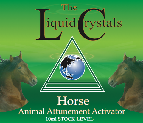 Horse Act Advanced STOCK image