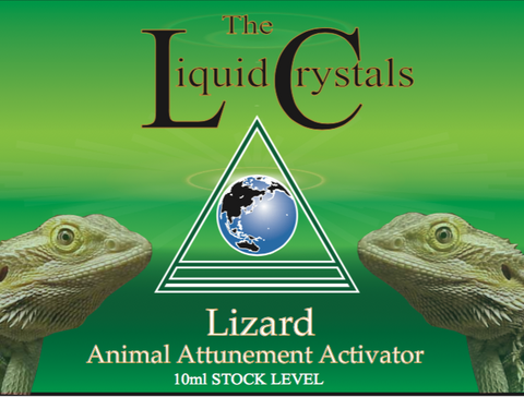 Lizard Advanced STOCK image