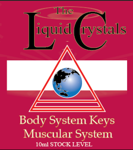 Muscular SYS KEY Advanced STOCK image