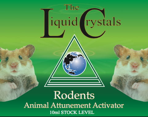 Rodents Advanced STOCK image